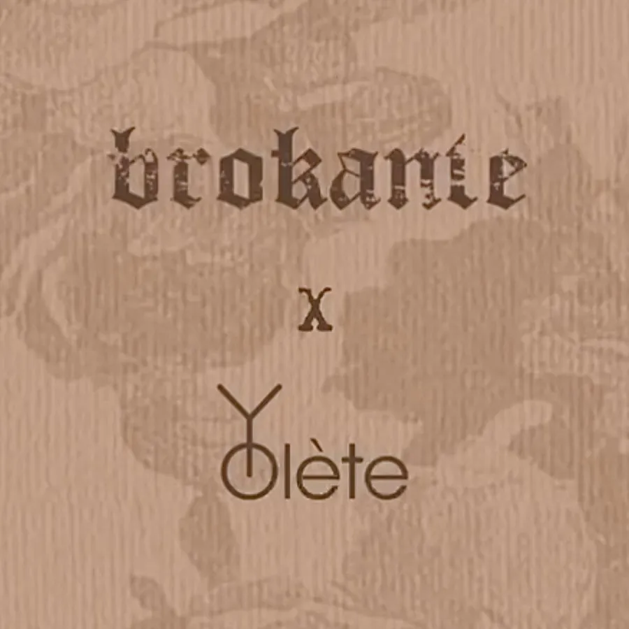 Yolète — photo 16